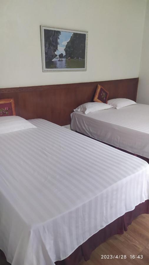 Tam Coc Green Homestay Ninh Binh Zewnętrze zdjęcie